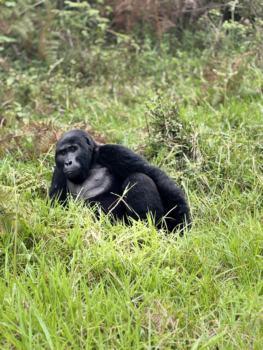 Uganda Bitcoin Safari Experience