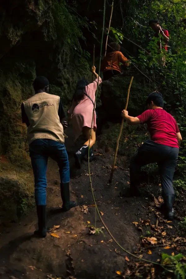 Forest trekking adventure