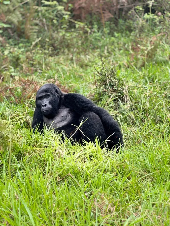 Uganda Bitcoin Safari Experience